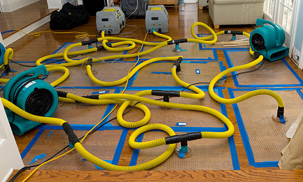 Professional Crawl Space Water Removal technician working in Belmont, CA